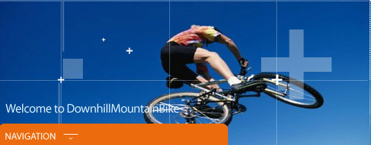 DownhillMountainBike.com